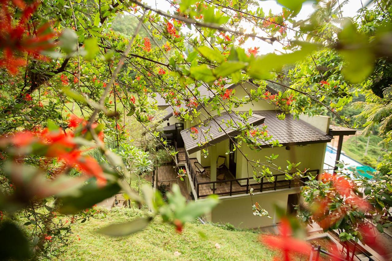 Huluganga Ridge, Kandy Karalliyadda Экстерьер фото